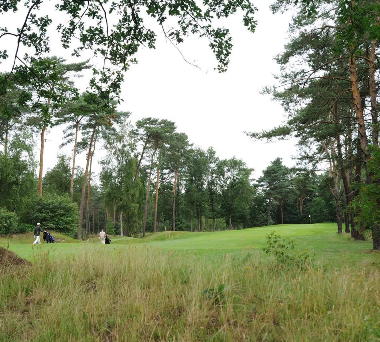 Header-image_ontdek-golf_Hooge-Graven-Ommen